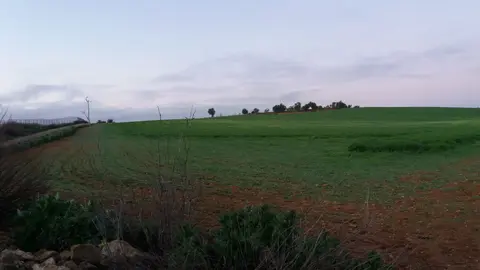 Archivo ASAJA Castilla-La Mancha