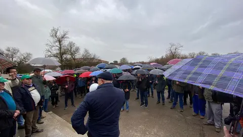 WhatsApp Image 2025-03-18 at 14.28.27