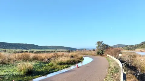 WhatsApp Image 2025-03-19 at 09.24.53