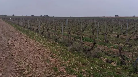 WhatsApp-Image-2025-03-25-at-11.01.59-1