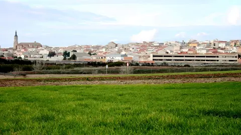 -El aspecto de las siembras es espléndido tras las lluvias