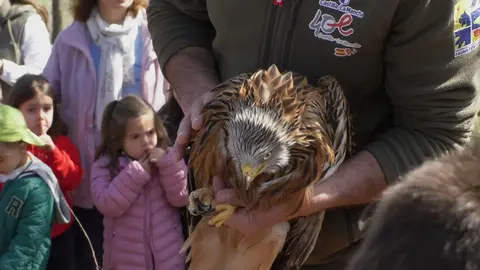 WhatsApp Image 2025-04-02 at 13.23.56