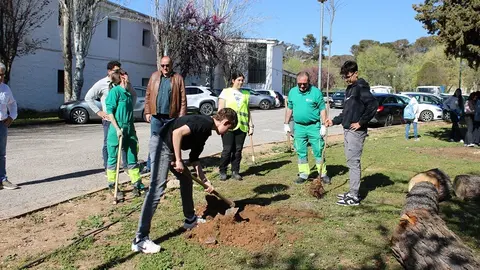 080425 VA-PLANTACION 2