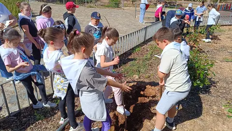 Eulalio Díaz-Cano en proyecto innovación educativa 2