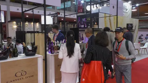 WhatsApp Image 2025-05-06 at 14.18.46