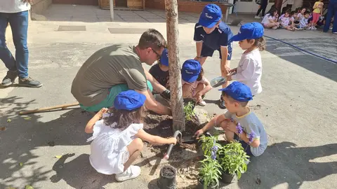 RENATURALIZACION COLEGIO
