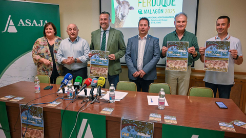 204e0dc56cc76cbdbb3e36c74be34646_L