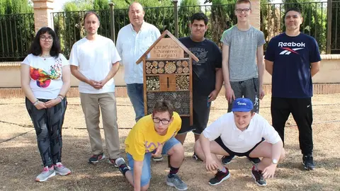 050625 VA-HOTEL INSECTOS