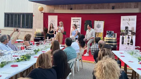 WhatsApp Image 2025-06-29 at 23.35.09 (1)