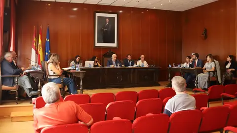 Pleno ordinario julio 2025