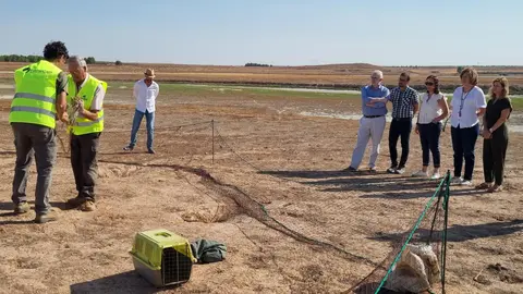 p1j1ft6dcskfiabu518olt1fna5