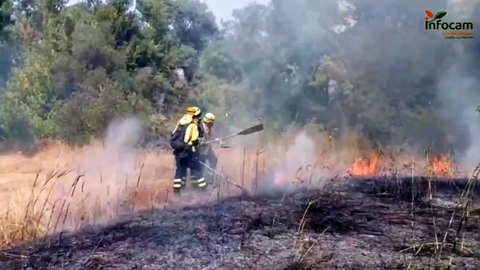 Efectivos de extinción de incendios forestales en Castilla-La Mancha Foto INFOCAM