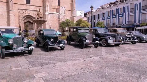 WhatsApp Image 2025-09-19 at 18.45.39