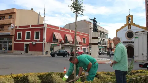 240925 VA-PLANTACION
