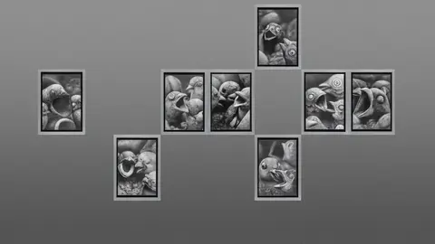 Obra ganadora de la edición de 2025 de Sebastián Bona