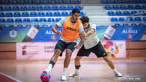 Viña Albali Valdepeñas