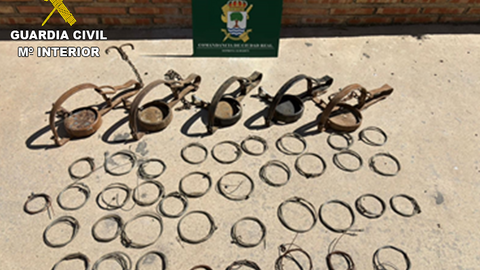 Lazos y cepos intervenidos