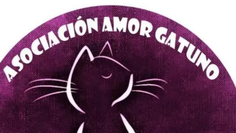 Amor Gatuno