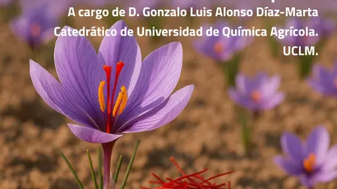 Conferencia Azafrán 