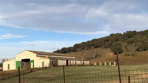 FOTO-SEGURO-EXPLOTACION