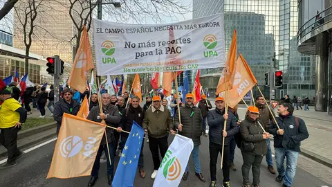 Manifestaci&oacute;n Bruselas