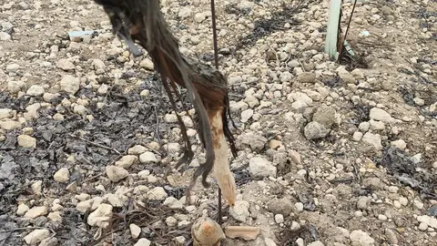 WhatsApp Image 2026-01-23 at 13.08.25 (1)