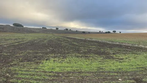 Da&ntilde;os en las explotaciones