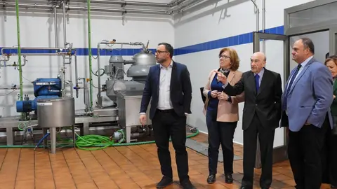 Cooperativa vitivin&iacute;cola Tomelloso