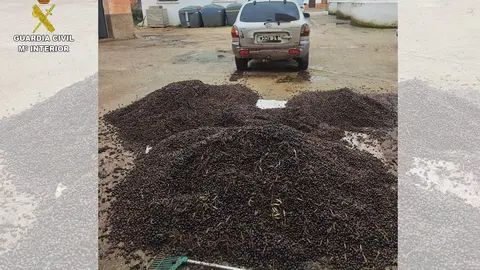 Mercanc&iacute;a sustraida