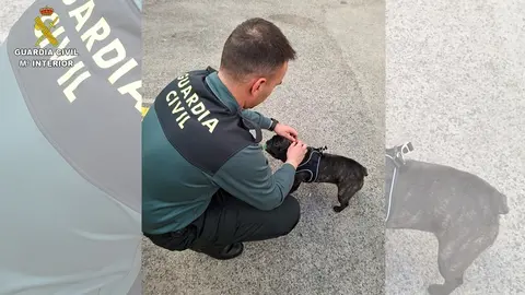 GUARDIA CIVIL CON CACHORRO INCAUTADO