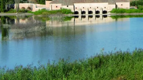 Imagen. Parque Nacional Tablas de Daimiel