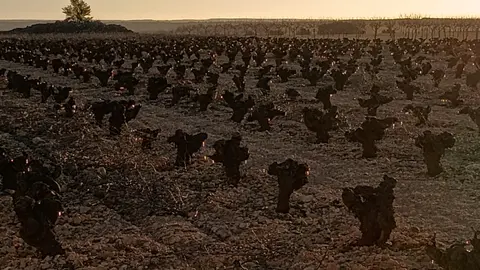 HELADA 30 MARZO  (4)