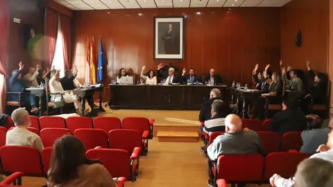 Unanimidad en la votaci&oacute;n - Pleno ordinario del Ayuntamiento de Manzanares (marzo 2026)