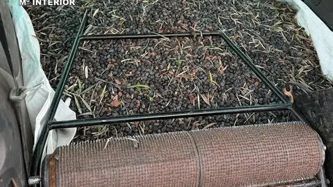 Presentaci&oacute;n2