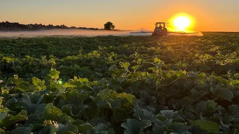 ASAJA CR alerta de las altas temperaturas