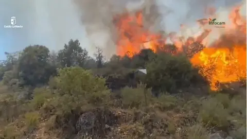 Foto INFOCAM Incendio en La Mierla