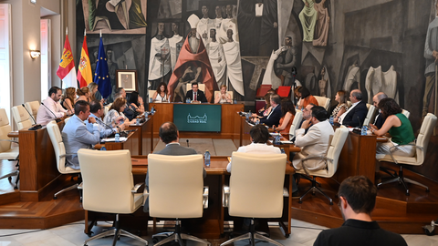 Pleno de la Diputaci&oacute;n de Ciudad Real