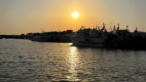 Barcos