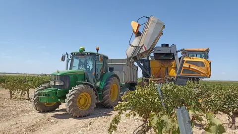 vendimia ciudad real