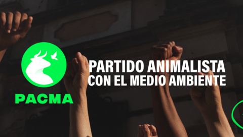 4-Banner-NUEVA-WEB-Febrero-rebranding