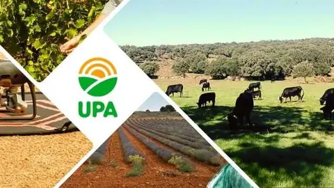UPA Castilla-La Mancha