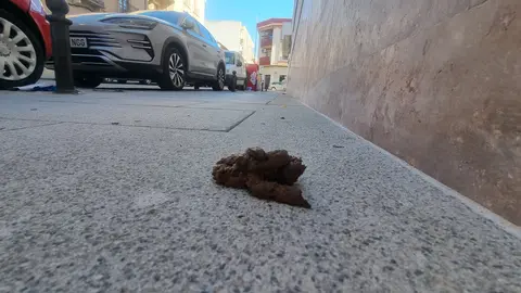 Un 10% de propietarios de perros en Valdepeñas no recoge los excrementos de la vía pública