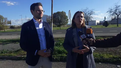 El PP vuelve a reclamar la continuación de la Autovía del IV Centenario