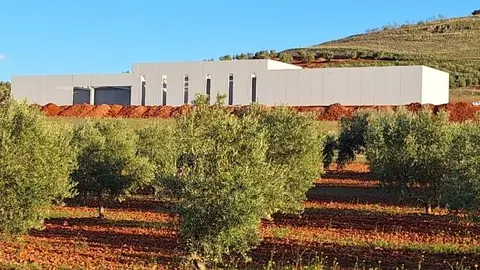 José Manuel Corrales protagoniza la cata maridada de los Jóvenes Amigos del vino de Valdepeñas
