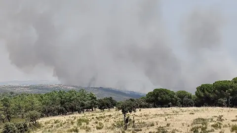 Nuevo incendio en la provincia de Ciudad Real: ahora en la sierra de Viso del Marqués