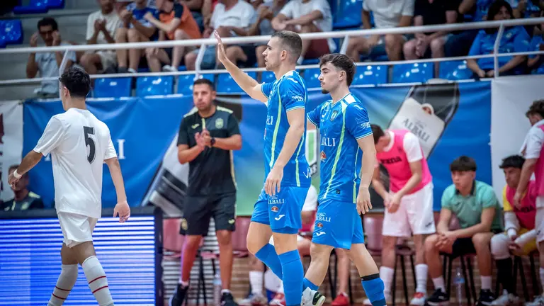 Vi&ntilde;a Albali Valdepe&ntilde;as