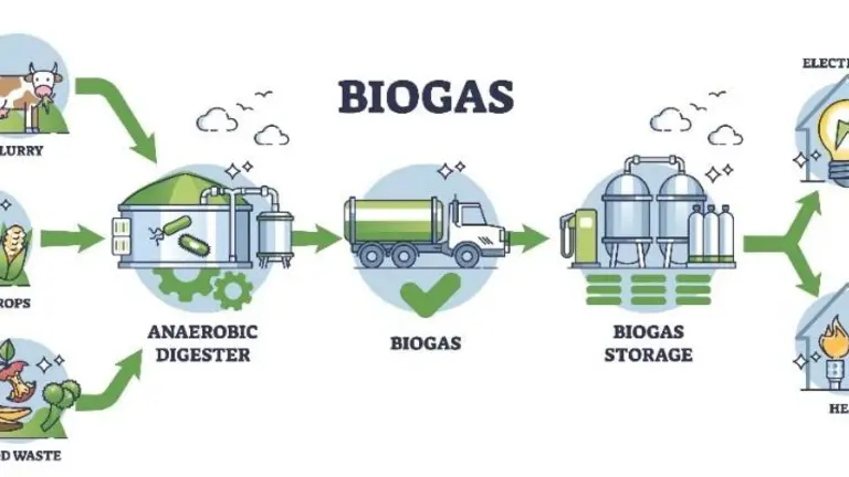 BIOG&Aacute;S1