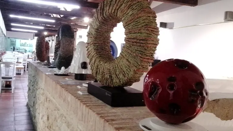 WhatsApp Image 2026-02-07 at 08.01.20