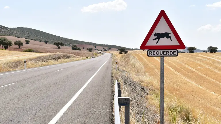 Carretera auton&oacute;mica CM-411