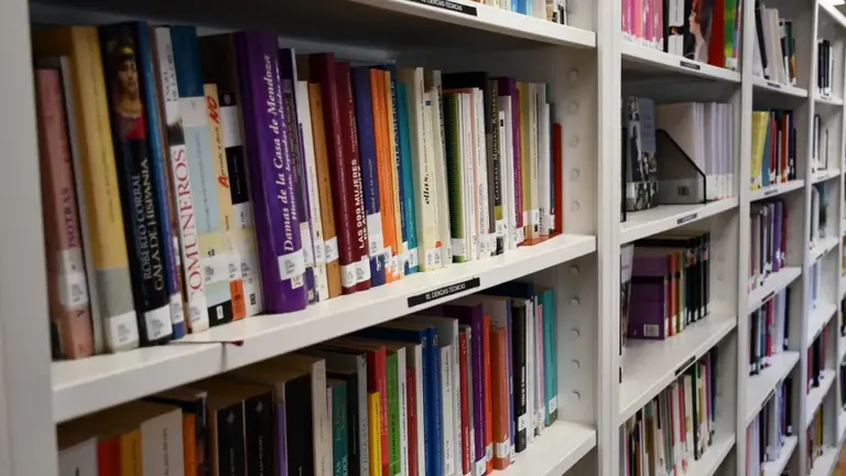 Biblioteca Luisa Sigea.jpg